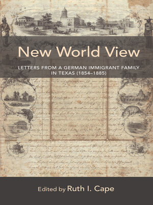 cover image of New World View